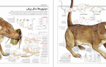 دانلود PDF کتاب پستانداران بریتانیکا 104 صفحه پی دی-1