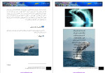 دانلود PDF کتاب دنیای زیر آب سمانه معزی 189 صفحه پی دی اف-1