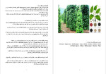 دانلود PDF کتاب فلفل سیاه اسماعیل پور کاظم 57 صفحه پی دی اف-1