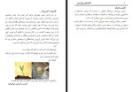 دانلود PDF کتاب گفته های مرواریدی محمد ریگی کوته 36 صفحه پی دی اف-1