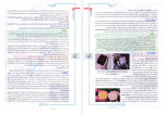 دانلود PDF کتاب زیست شناسی دهم خیلی سبز 689 صفحه پی دی اف-1