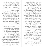 دانلود PDF کتاب چاقو سلمان رشدی 328 صفحه پی دی اف-1