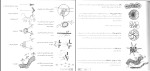 دانلود PDF کتاب چگونه معمارانه طراحی کنیم 2 احسان طایفه 76 صفحه پی دی اف-1