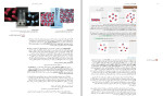 دانلود PDF کتاب شیمی عمومی سیلبربرگ 344 صفحه پی دی اف-1