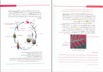 دانلود PDF کتاب جامع زیست شناسی زیر ذره بین مرتضی رضایی 700 صفحه پی دی اف-1