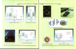 دانلود PDF کتاب شیمی آلی 2 ساختار و کاربرد مجید صادقی 530 پی دی اف-1