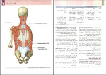 دانلود PDF کتاب آناتومی گری تنه رضا شیرازی 636 صفحه پی دی اف-1