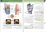دانلود PDF کتاب آناتومی گری سر و گردن رضا شیرازی 315 صفحه پی دی اف-1