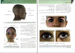 دانلود PDF کتاب آناتومی گری سر و گردن رضا شیرازی 315 صفحه پی دی اف-1