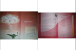دانلود PDF کتاب جادوی محبت ویژه همسران منیره دانایی 35 صفحه پی دی اف-1