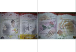 دانلود PDF کتاب جادوی محبت ویژه همسران منیره دانایی 35 صفحه پی دی اف-1